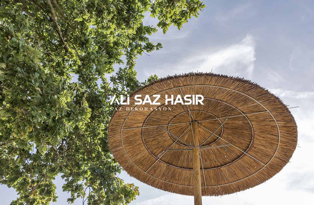 Kamış Şemsiye