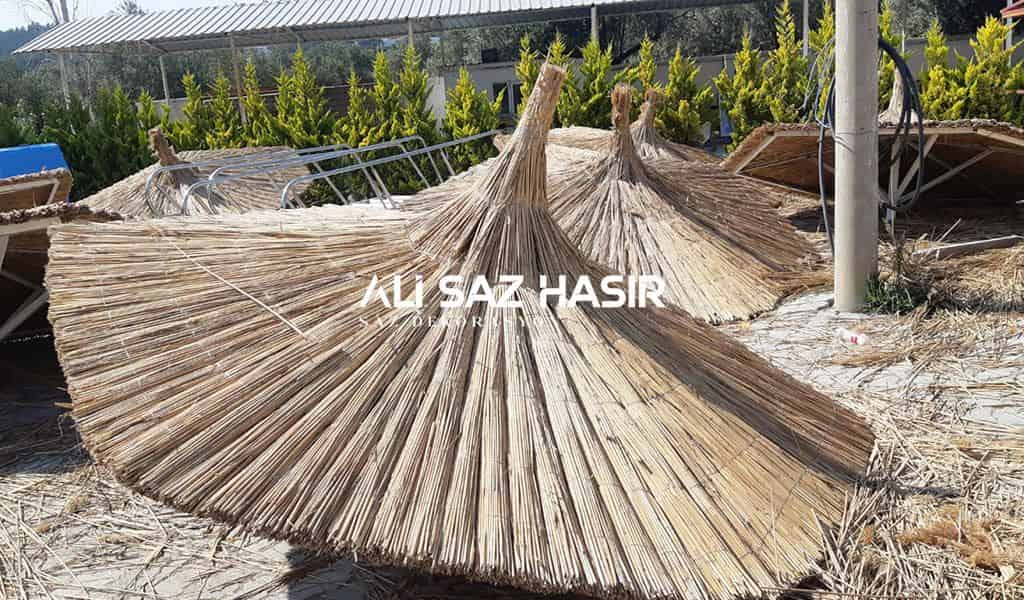 Kamış Şemsiye